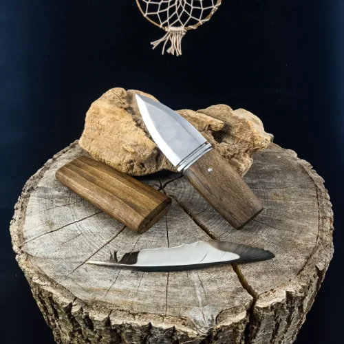 Dague commandé par une Chamane !