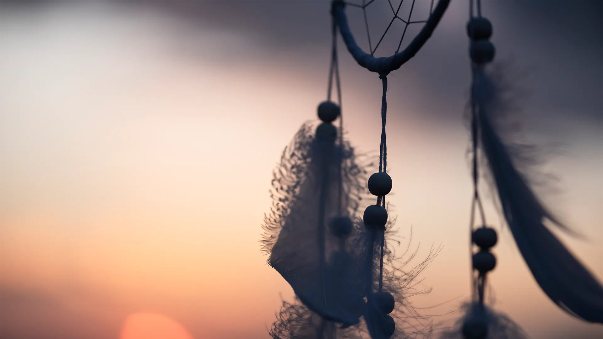 realisations-slider1a-fond